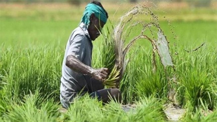 किसान महासम्मेलन पर भाजपा किसान मोर्चा रायपुर व भाजपा ग्रामीण की बैठक