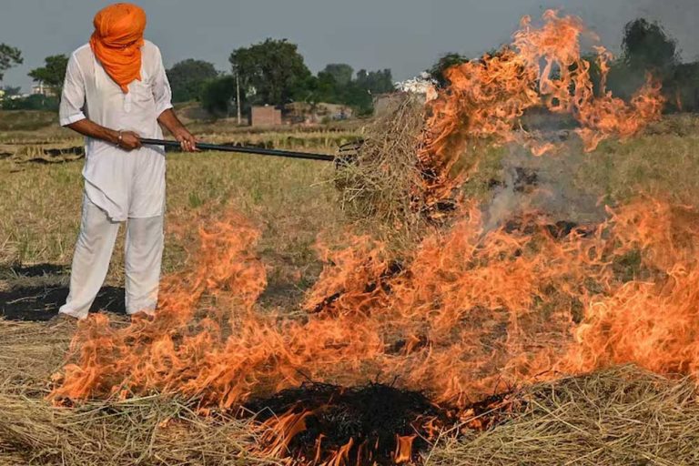 हरियाणा : पराली जलाने के मामले बढ़े 14 किसान गिरफ्तार, 32 किसानों की जमीन रेड एंट्री श्रेणी में