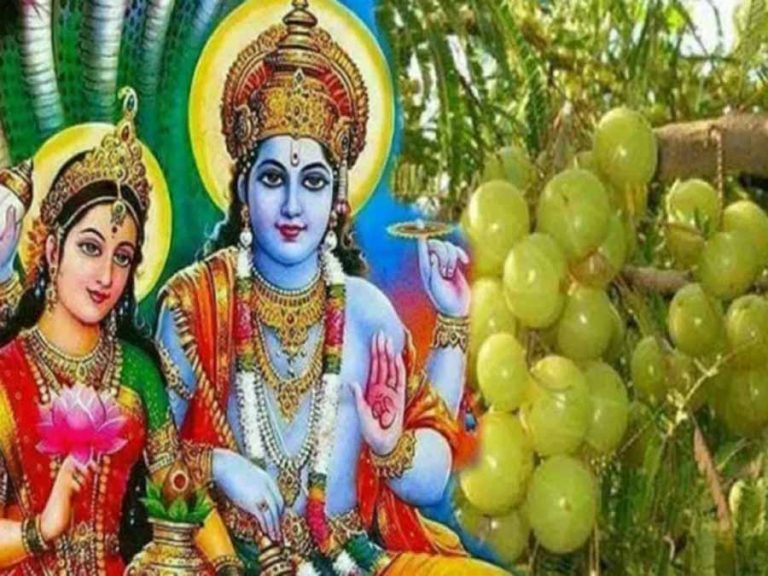 अक्षय नवमी : भगवान विष्णु की पूजा के साथ आंवले के पेड़ की जाती है पूजा