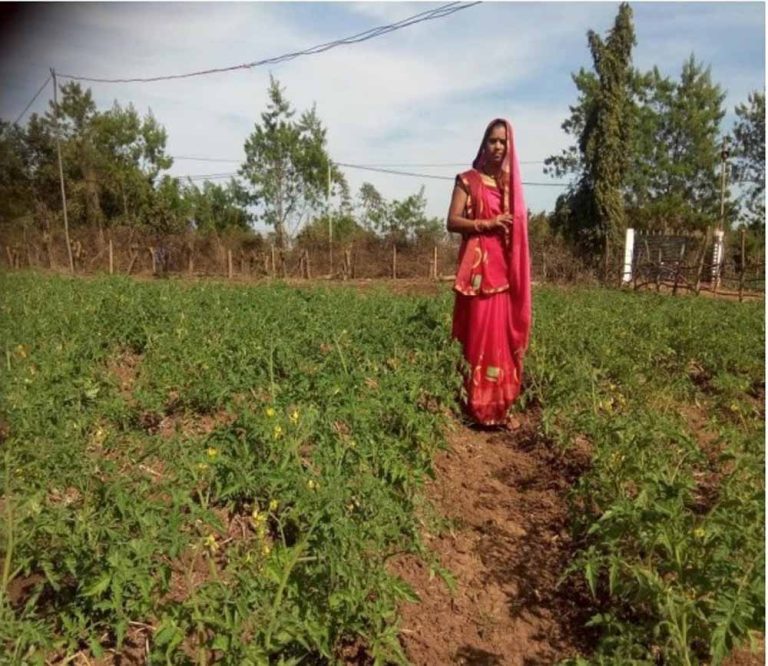 स्व-सहायता समूह ने बदली मंजूलता की ज़िन्दगी, जैविक खेती से बढ़ाई आय