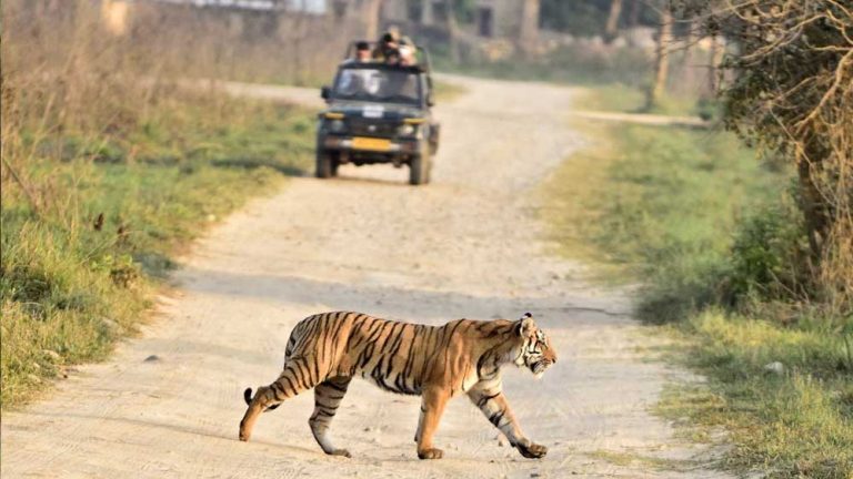 रालामंडल और मुकुंदपुर ZOO में नाइट सफारी की जल्द शुरुआत, हर तीन साल में 10% की वृद्धि होगी