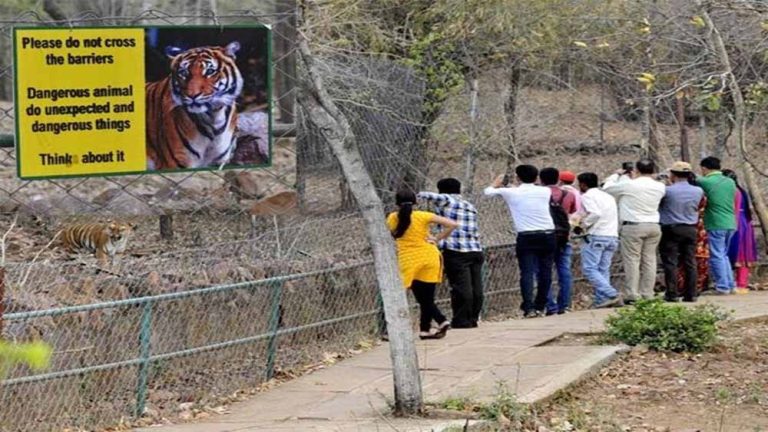 मध्य प्रदेश सरकार ने वनविहार, Zoo और पार्कों में घूमना किया महंगा, प्रवेश शुल्क में हुई वृद्धि