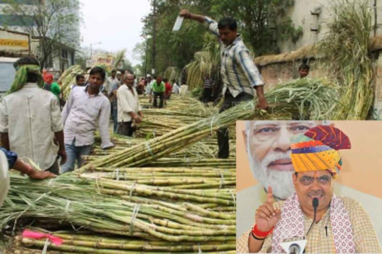 राजस्थान-मुख्यमंत्री श्री भजनलाल शर्मा ने गन्ना क्रय मूल्य में की वृद्धि हजारों किसानों की आय में होगी बढ़ोत्तरी