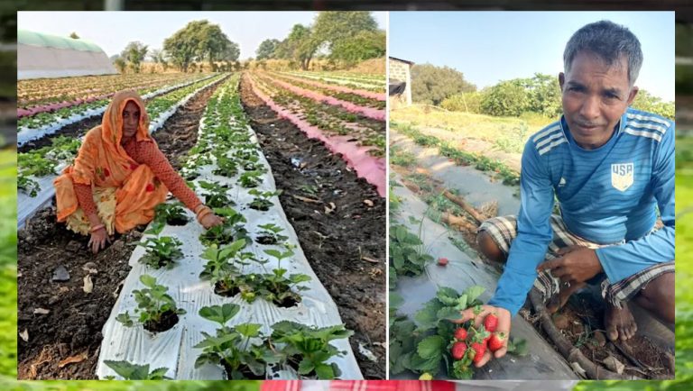 किसान कल्याण तथा कृषि विकास विभाग द्वारा किसानों को समृद्ध बनाने के लिये कृषि उत्पादकता को बढ़ावा दिया जा रहा