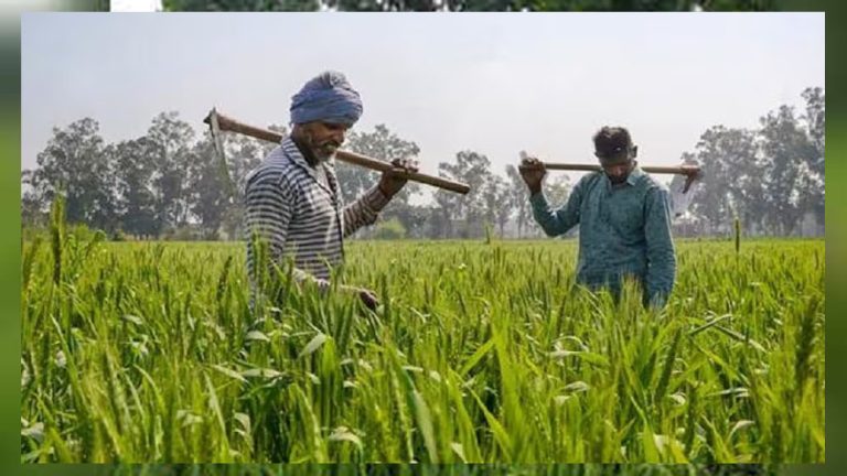 मुख्यमंत्री डॉ. मोहन यादव के नेतृत्व में राज्य सरकार किसानों के कल्याण एवं समस्याओं के निराकरण के लिये प्रतिबद्ध