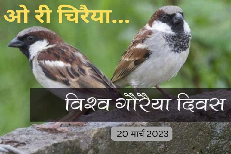 मुख्यमंत्री डॉ. यादव ने विश्व गौरैया दिवस पर पक्षियों के संरक्षण के लिए किया आह्वान