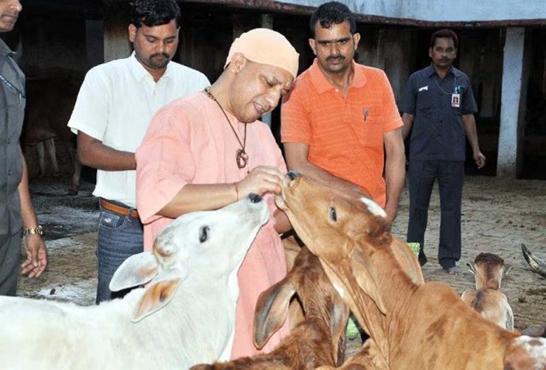 प्रदेश की गौशालाएं पर्यावरण के अनुकूल खेती को बढ़ावा देंगी, मिट्टी की उर्वरता बढ़ाएंगी: योगी सरकार