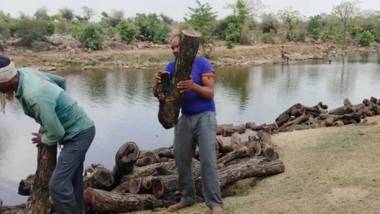 नदी में तैरती मिली क्विंटलों खैर की लकड़ी, पीछे पड़ी थी वन विभाग की टीम, नजारा देख याद आ गया ‘पुष्पा’ का ‘वो’ सीन