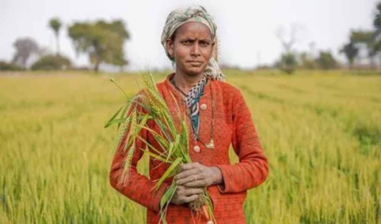 पीएम मोदी की अध्यक्षता में कैबिनेट ने वित्त वर्ष 2025-26 के लिए किसानों के ऋणों पर ब्याज सब्सिडी को मंजूरी दी