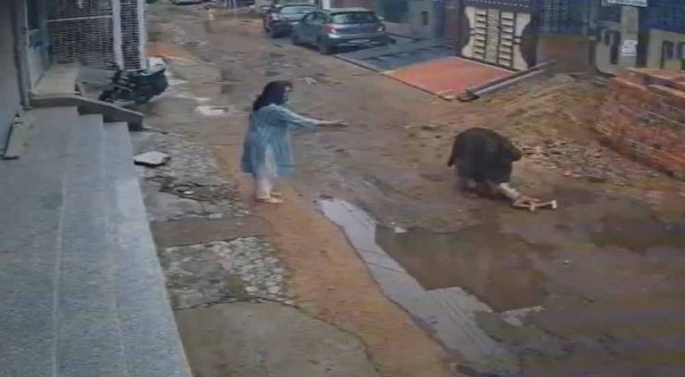 आवारा कुत्तों का आतंक, डेढ़ साल के बच्चे पर हमला, अस्पताल में भर्ती