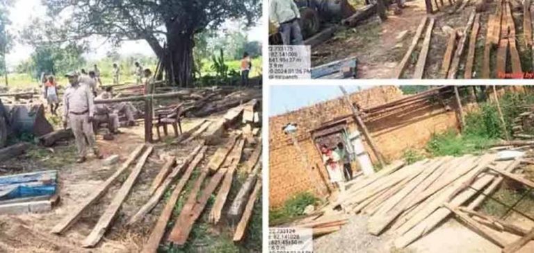वन विभाग की बड़ी कार्रवाई: 50 हजार की अवैध इमारती लकड़ी जब्त