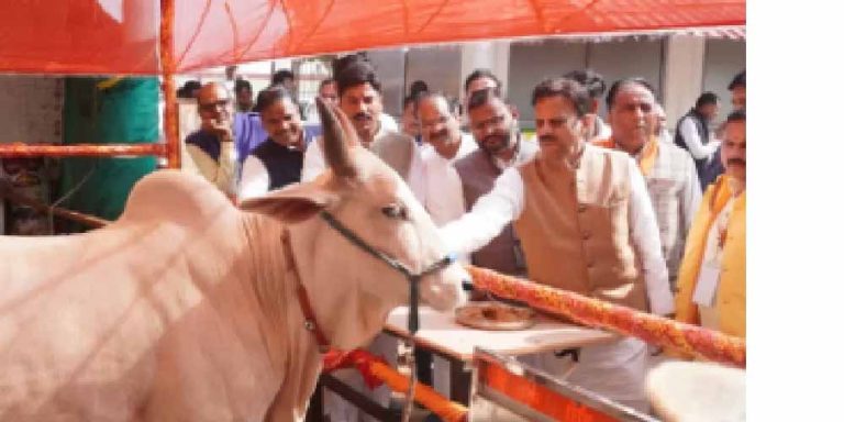 हिनौती गौधाम में दो करोड़ 67 लाख रुपए की लागत से बनाए जाने वाले 4 शेड का भूमि-पूजन किया