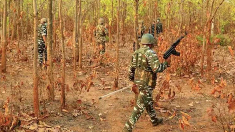 बीजापुर जिले में 13 नक्सलियों ने सुरक्षा बलों के समक्ष आत्मसमर्पण