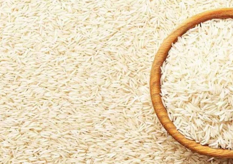 चावल निर्यातक नरेंद्र मिगलानी ने कहा- ईरान और इजरायल के बीच चल रहे युद्ध का असर भारत के चावल निर्यातकों पर पड़ा
