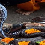 घर का वास्तु ठीक करने के लिए नाग पंचमी पर करें ये काम