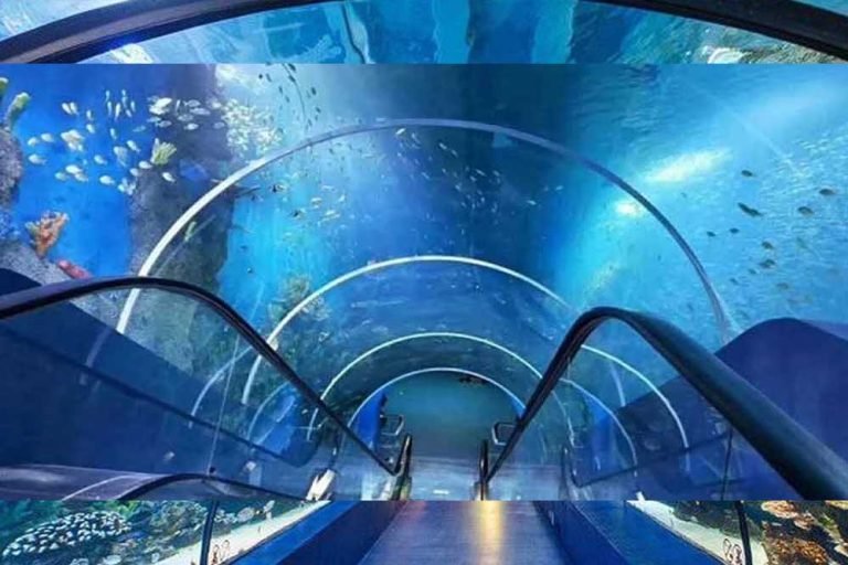 भोपाल को मिलेगा नया टूरिस्ट डेस्टिनेशन: 40 करोड़ के एक्वा पार्क में लगेगी वॉटर टनल और 3D तकनीक