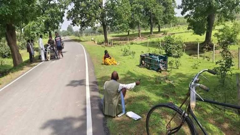 सिंगरौली में अनियंत्रित ई-रिक्शा के खाई में गिरने से चार यात्री घायल