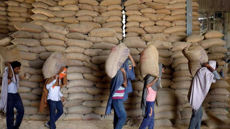 गेहूं भंडारण पर लगाम: MP में थोक व्यापारी 3000 टन से ज्यादा स्टॉक नहीं रख सकेंगे