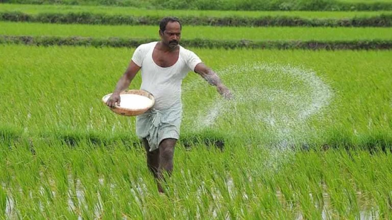31 जुलाई तक कराले फसल बीमा, अब मात्र 2 प्रतिशत प्रीमियम दर पर करा सकेंगे बीमा