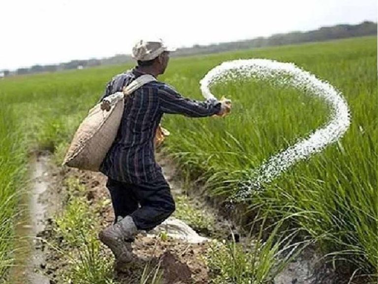 डीएपी की कमी को पूरा करने एनपीके, एसएसपी और नैनो डीएपी का भरपूर स्टॉक
