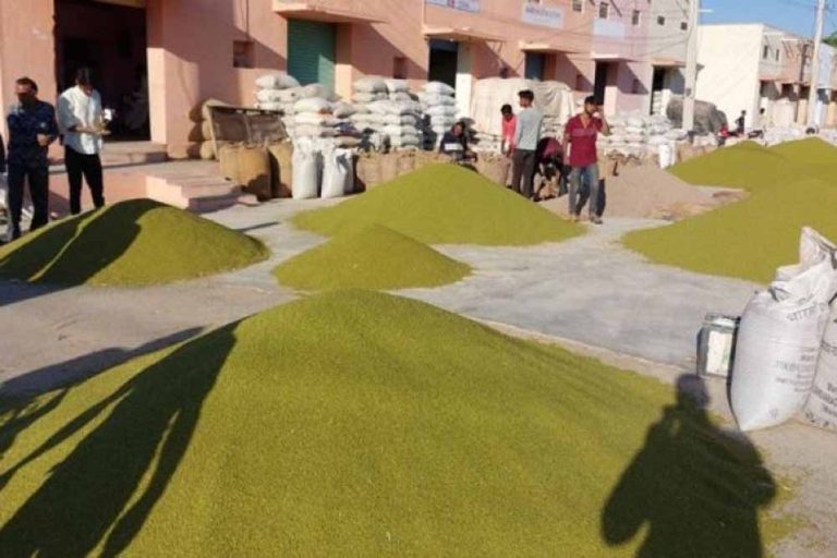 मूंग-उड़द की खरीदी अटकी, जबलपुर में सर्वर ठप होने से किसानों में उबाल