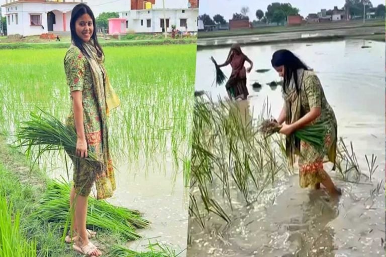 पानी भरे खेत में सपा सांसद प्रिया सरोज, धान रोपाई कर दिया जमीनी जुड़ाव का संदेश