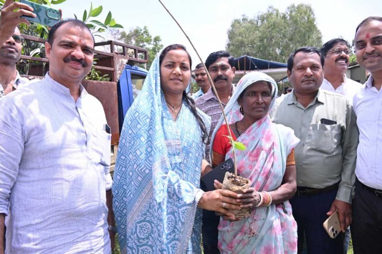 सूरजपुर वन मंडल में इस साल 7 लाख पौधों का होगा रोपण -मंत्री श्रीमती राजवाड़े