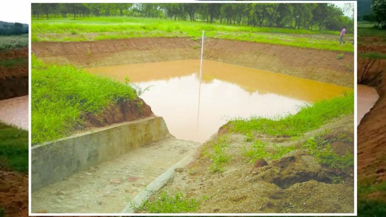 सीहोर में हरियाली की नई उम्मीद: खेत तालाब और डगवेल रिचार्ज से लौट रही उपजाऊ जमीन