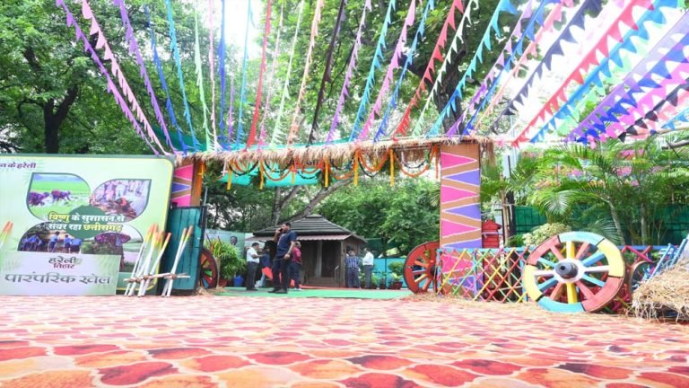 सरगुजिहा कला पर केंद्रित सजावट में बस्तर और मैदानी छत्तीसगढ़ की भी सुंदर झलक