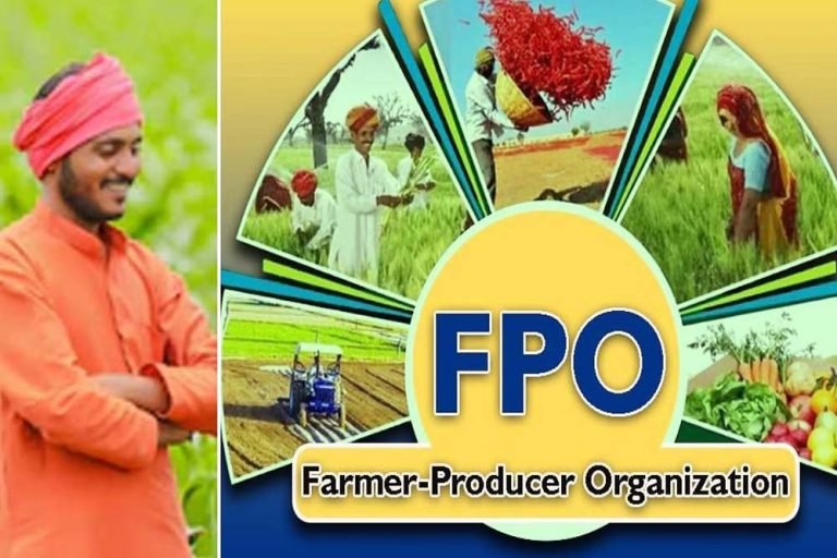 एफपीओ और बाजार के बीच सेतु बनेगी बायर-सेलर मीट, कार्यशाला में मिले अहम सुझाव