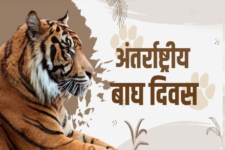 अंतर्राष्ट्रीय बाघ दिवस पर राज्य स्तरीय कार्यक्रम में शामिल होंगे सीएम डॉ. यादव