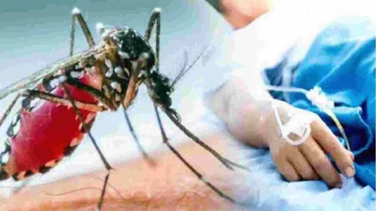 भोपाल में बीमारी का प्रकोप: डेंगू और फूड पॉयजनिंग के मरीज बढ़े, अस्पताल सतर्क