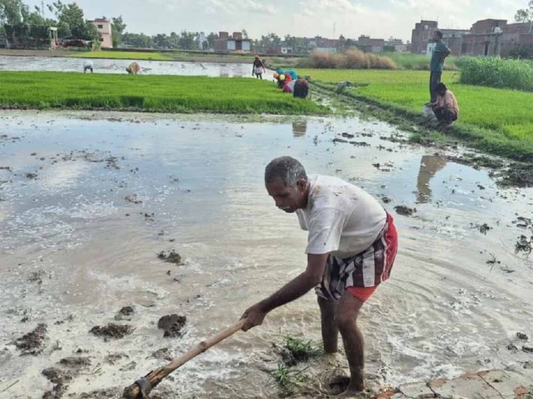 PM किसान की 20वीं किस्त जल्द, एक गलती से अकाउंट हो सकता है खाली!