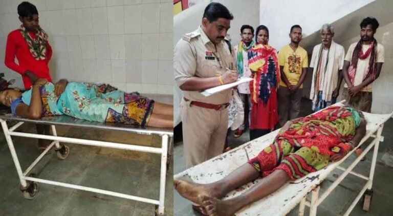 खेत में काम करते समय सांप ने डसा, दो महिलाओं ने तोड़ा दम