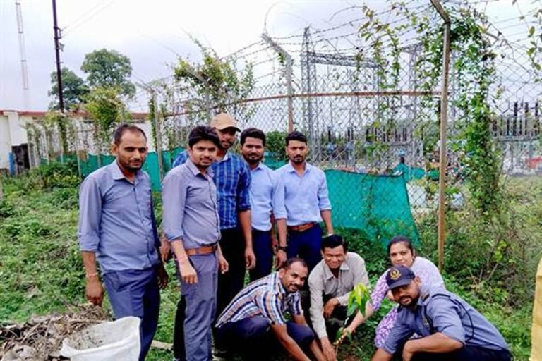 औषधि वाटिका विकास के लिए एम.पी. ट्रांसको में पौधारोपण