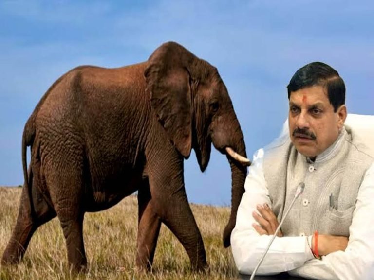 मुख्यमंत्री डॉ. यादव ने प्रदेशवासियों से हाथियों के संरक्षण का किया आह्वान