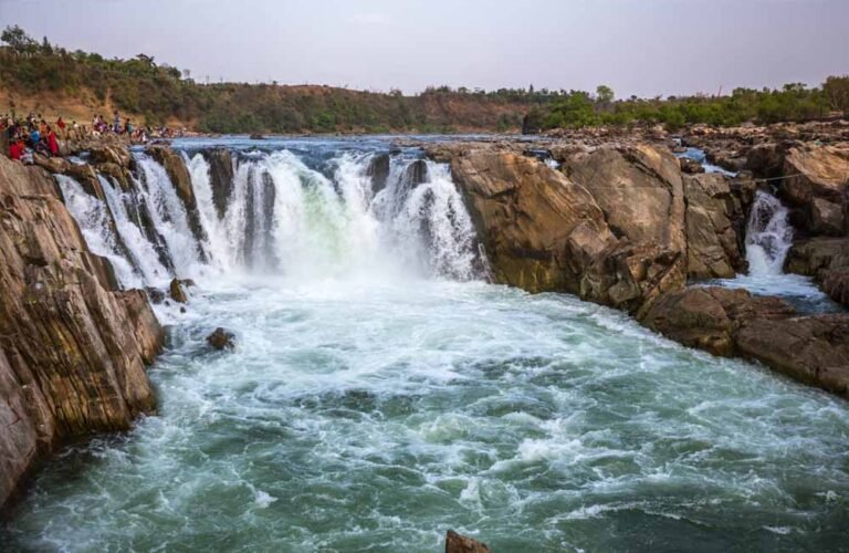 मध्यप्रदेश की नदियाँ हैं भारत की संस्कृति की धारा, मुख्यमंत्री डॉ. यादव
