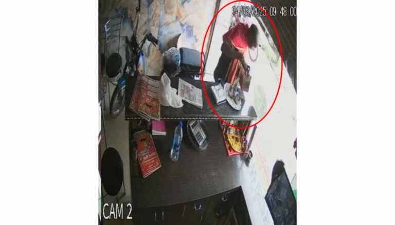 गौसेवा की दान पेटी चोरी, थाने के सामने घटी वारदात से पुलिस पर सवाल