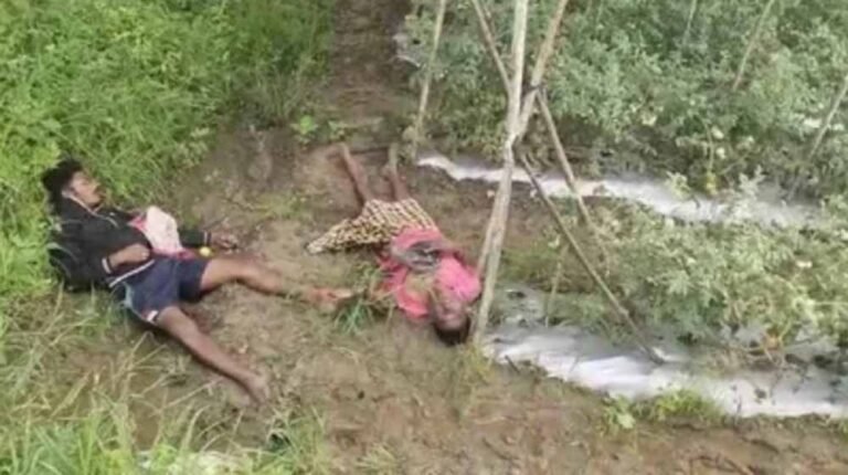 खेत में टमाटर तोड़ने घुसे पिता-पुत्र आए करंट की चपेट में, दोनों की मौत