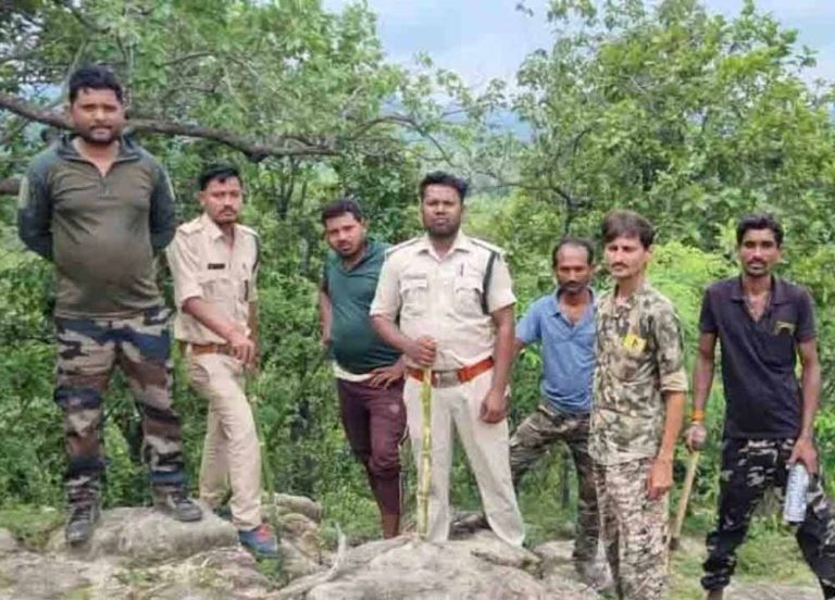 वन क्षेत्र में बाघ की दस्तक : पैरों के निशान मिले, ग्रामीणों को सतर्क रहने की अपील