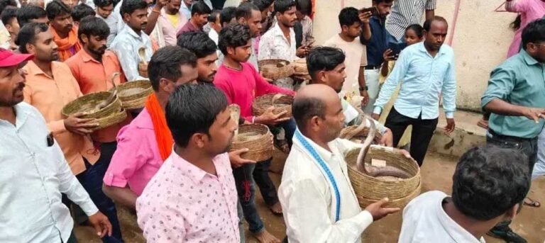 श्रद्धा और आस्था का संगम: गांव में सांपों की निकली शोभायात्रा