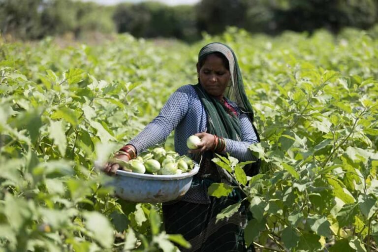 एचडीएफसी बैंक के परिवर्तन अभियान से मध्य प्रदेश में 63 लाख से अधिक लोगों के जीवन में बदलाव
