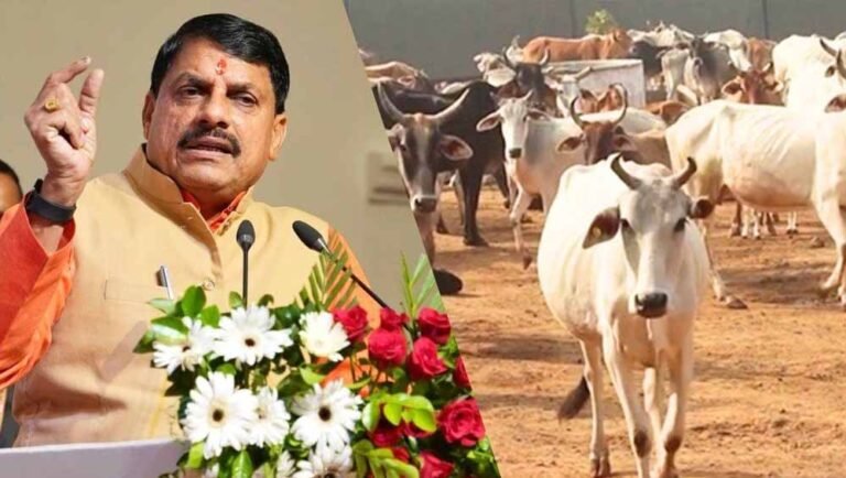 मुख्यमंत्री डॉ. मोहन यादव बोले- पशुपालन से बढ़ेगी किसानों की आमदनी, मिलेगा आत्मनिर्भरता का रास्ता
