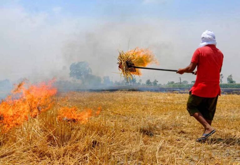 मध्यप्रदेश में पराली प्रबंधन की नई पहल, किसानों को धान और गेहूं के अवशेष से होगा फायदा