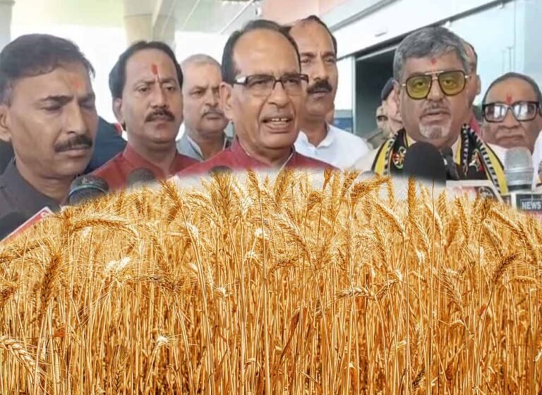 गेहूं उत्पादन पर संकट, शिवराज बोले- जलवायु परिवर्तन और गर्मी है बड़ी वजह
