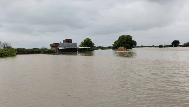 हाहाकार: राजस्थान की नदियों में बह गए 15 लोग, बचाव कार्य चल रहा, 10 लोग डूबने की आशंका