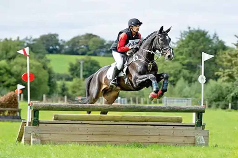 भोपाल में आया विजेता घोड़ा: ऊंची दीवारें और नदियां भी नहीं रोक सकीं