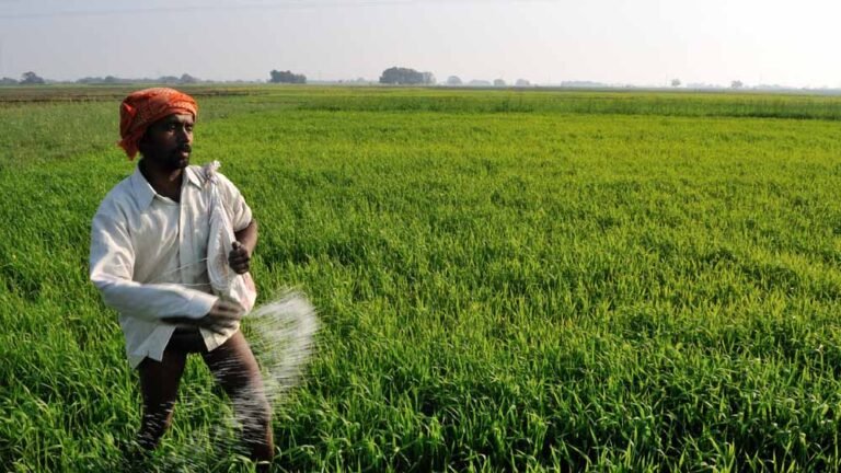 किसानों के लिए खुशखबरी: छत्तीसगढ़ में रासायनिक और नैनो खाद की सुविधा