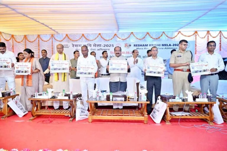 रेशम उत्पादन से जुड़े किसानों को उप मुख्यमंत्री साव ने किया सम्मानित