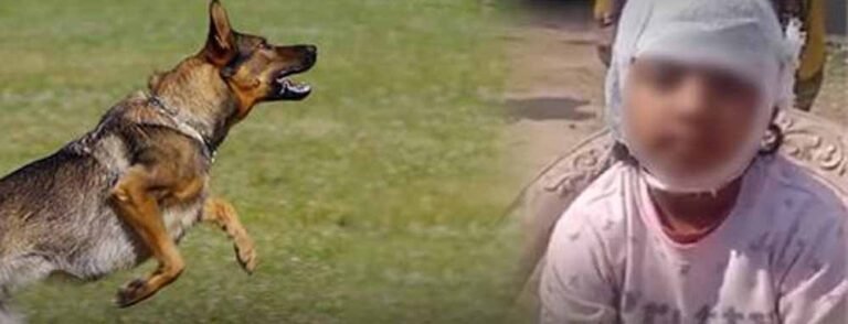 DM और मेयर से गुहार: घायल बच्चे ने कहा, ‘कुत्तों से बचाइए, तभी जाऊंगा स्कूल’